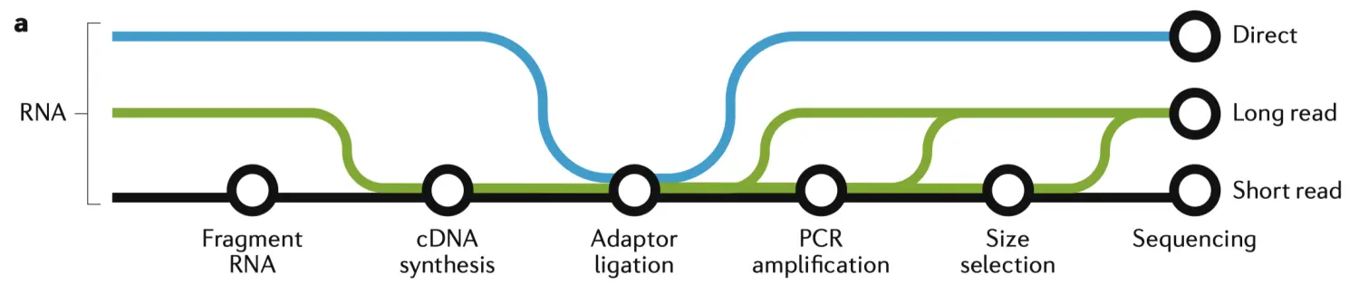 Stark et al. Nat Rev Genet(2019)