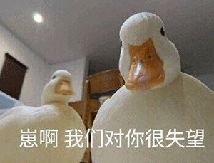 李佳琦放过鸭子吧表情包