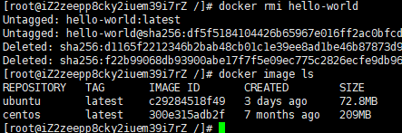 f59af507977b7d1dd374907356193359 - 《前端运维》三、Docker--1镜像与容器