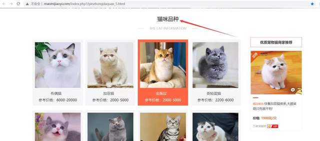 什么品种的猫最受欢迎？Python爬取猫咪网站交易数据[通俗易懂]