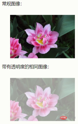 html页面透明度属性,css透明度是什么属性？