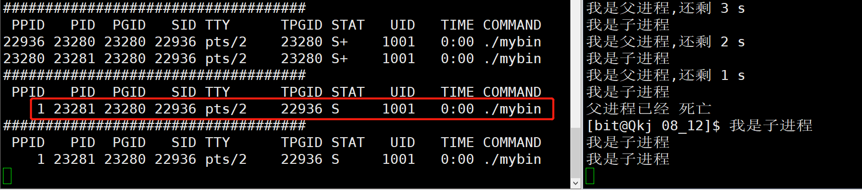 image-20220812085029961