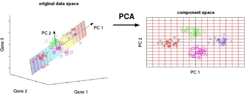 主成分分析(PCA) - 知乎