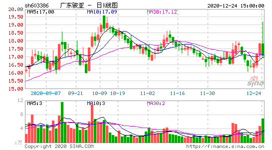 603386-广东骏亚