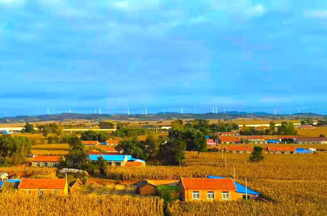 网宿科技56.87亿,CDN一哥变革加速,位列2020云综合排名第十四