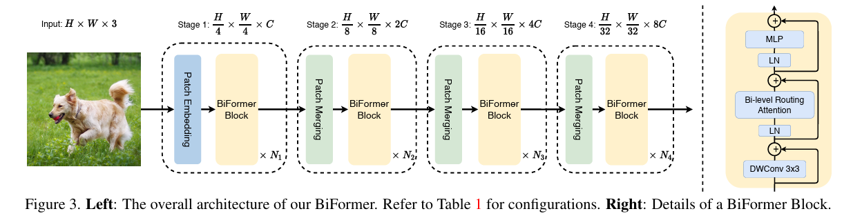 【CVPR代码复现】BiFormer图像分类实战教程