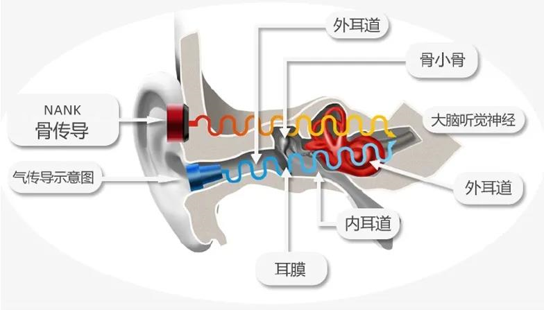 骨传导耳机工作原理是什么、为什么骨传导耳机塞住耳朵声音变大？