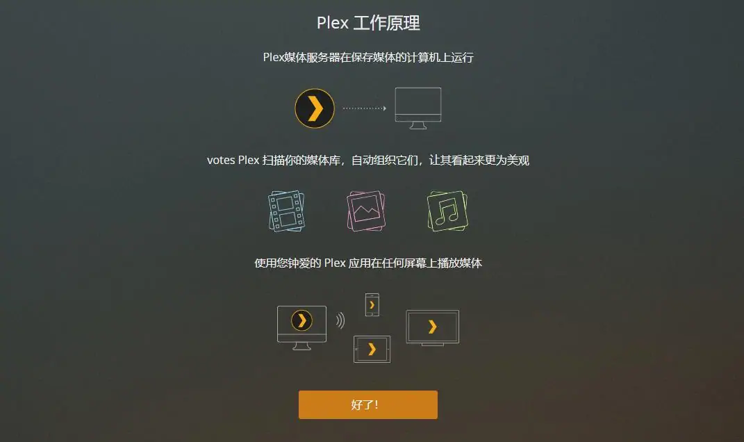PLEX开始页面