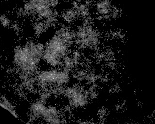 f6c366af35ca7edbb36de1cd081c43f2.png