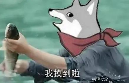 f6d9f86187cc4e438a6231bb3de2075b.png