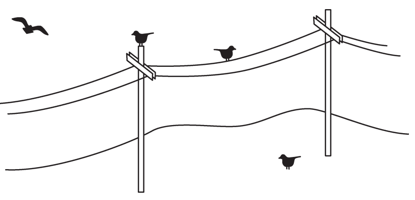 f70d889d6b064f65427fc478d11f7017.png