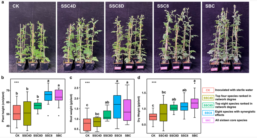 Microbiome | 嫁接植物微生态大揭秘：抗病研究的新思路