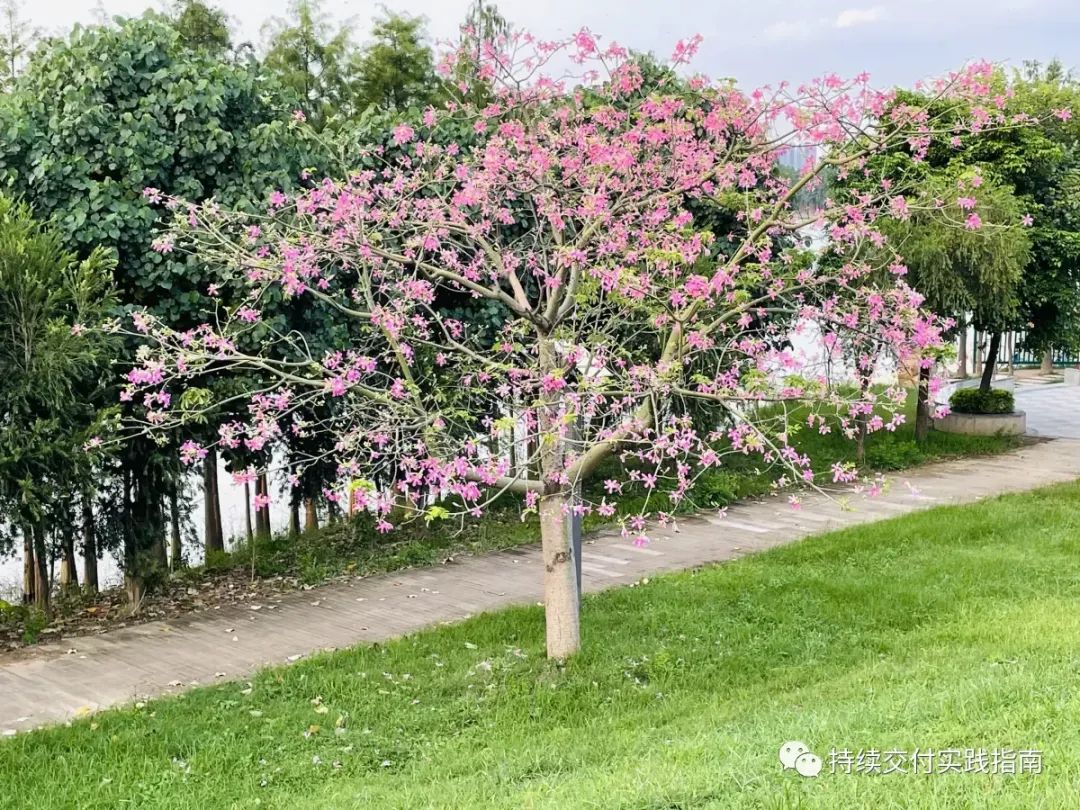 我是如何进行日志降本的