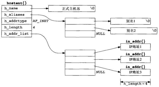 hostent结构信息