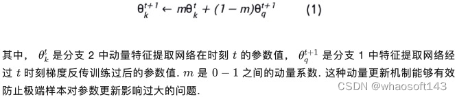 深度对比学习_网络架构_06