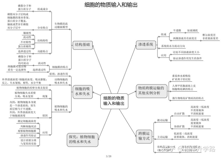 生物选修1每章框架图图片