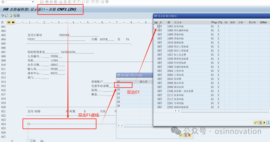 SAP HCM PE51工资单教程