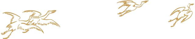 f86e7a7ee34506a974c7a3bc9e54d1b9.png