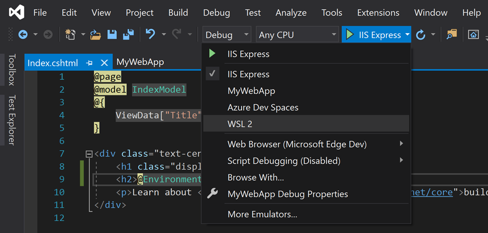 WSL2 in Visual Studio WSL2 in Visual Studio