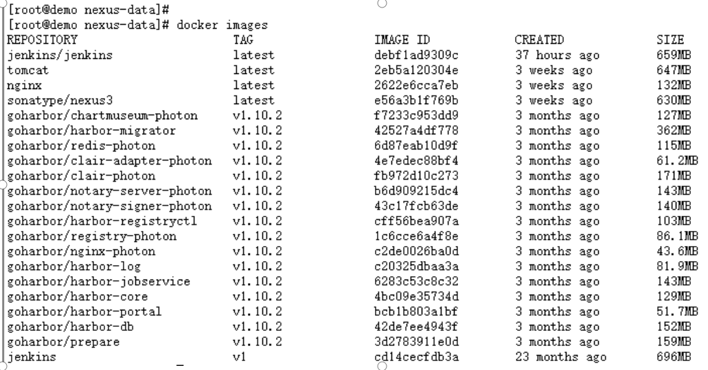 #yyds干货盘点#docker下安装nexus部署文档_配置文件_02