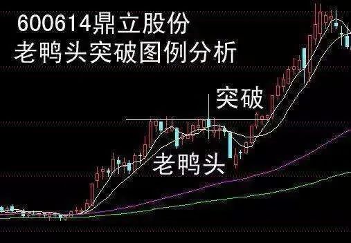 倒挂老鸭头图片