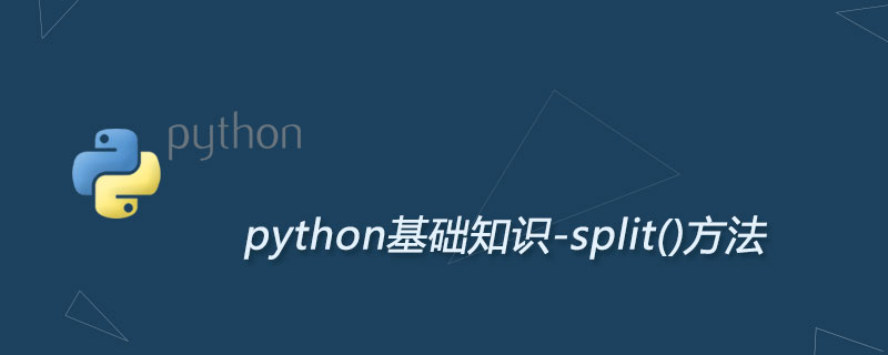 Python split()方法详解：<span style='color:red;'>分割</span><span style='color:red;'>字符串</span>