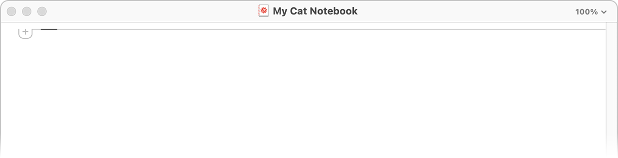 My cat notebook