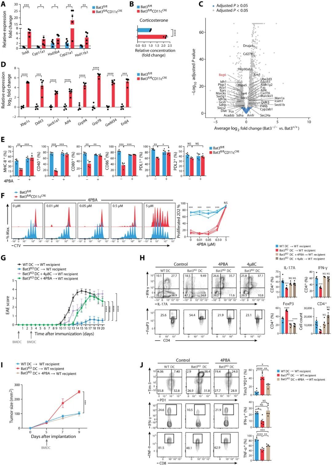 Sci Immunol丨Tim-3 适配器蛋白 Bat3 是耐受性树突状细胞