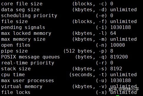 RuntimeError: unable to open shared memory object ＜/torch_24063_2365344576＞ in read-write mode