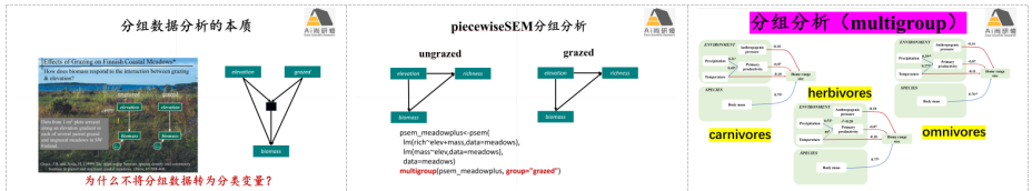 R语言piecewiseSEM结构方程模型在生态环境领域实践技术应用