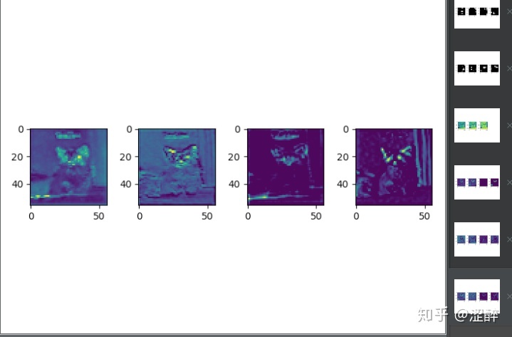 pytorch forward_pytorch使用hook打印中间特征图、计算网络算力等