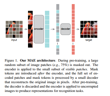 image-20211126100645081