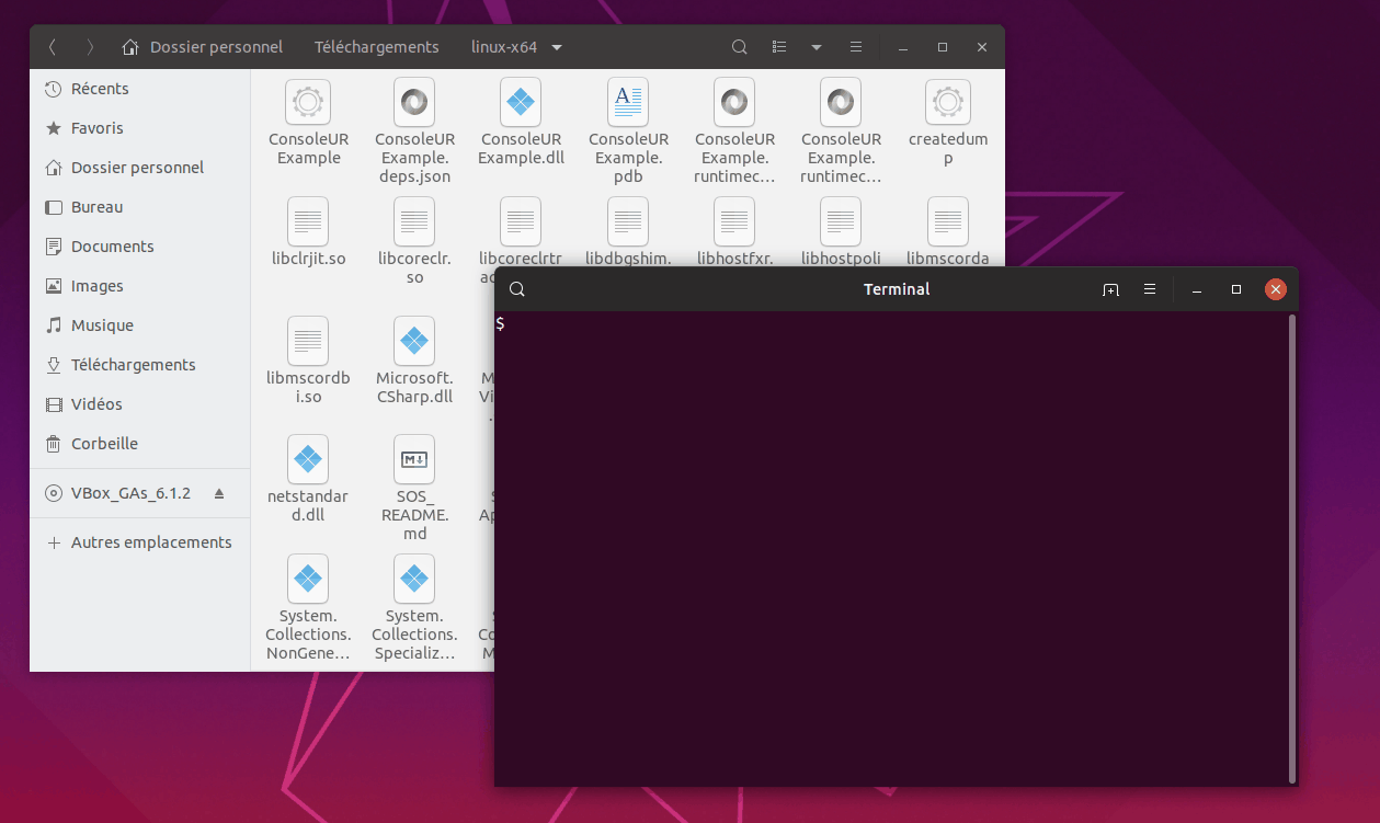 控制台 Linux Ubuntu 19.04 示例