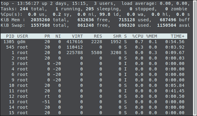 The "top" process running in a terminal window.