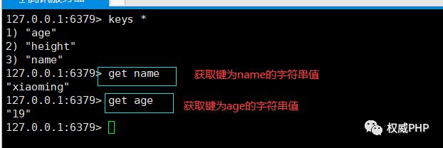 js将字符串转化为数字_js转化url为字符串_js判断数字是否为小数