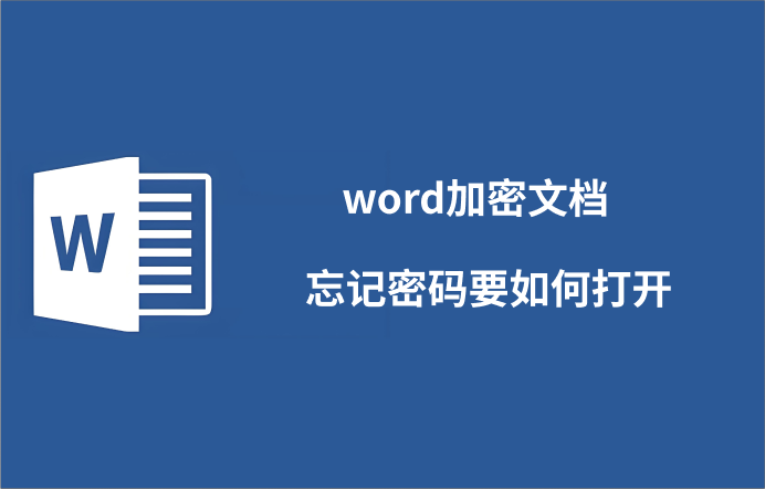 word文档