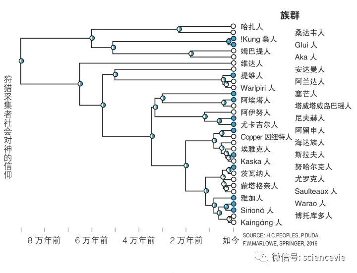 人类的信仰从何而来？