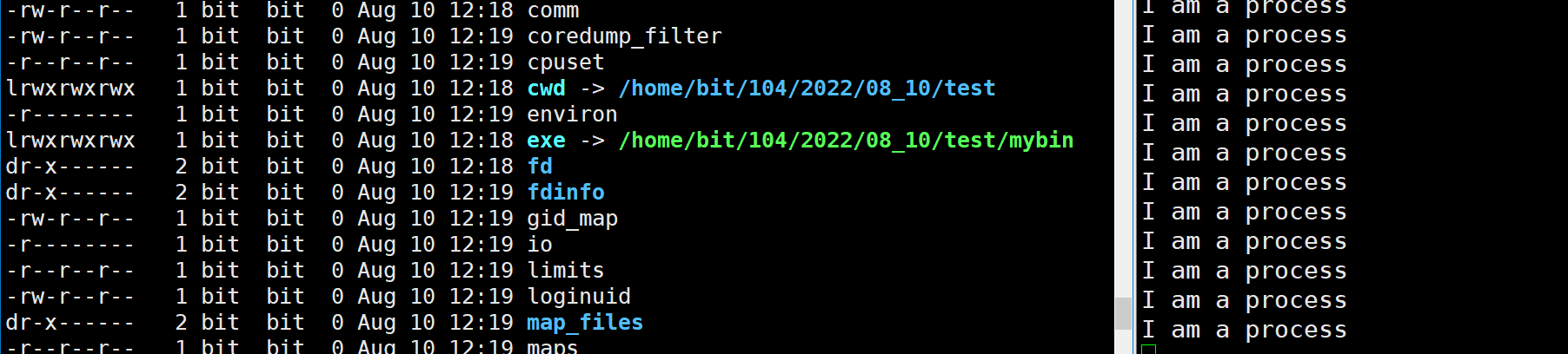 image-20220810121947593