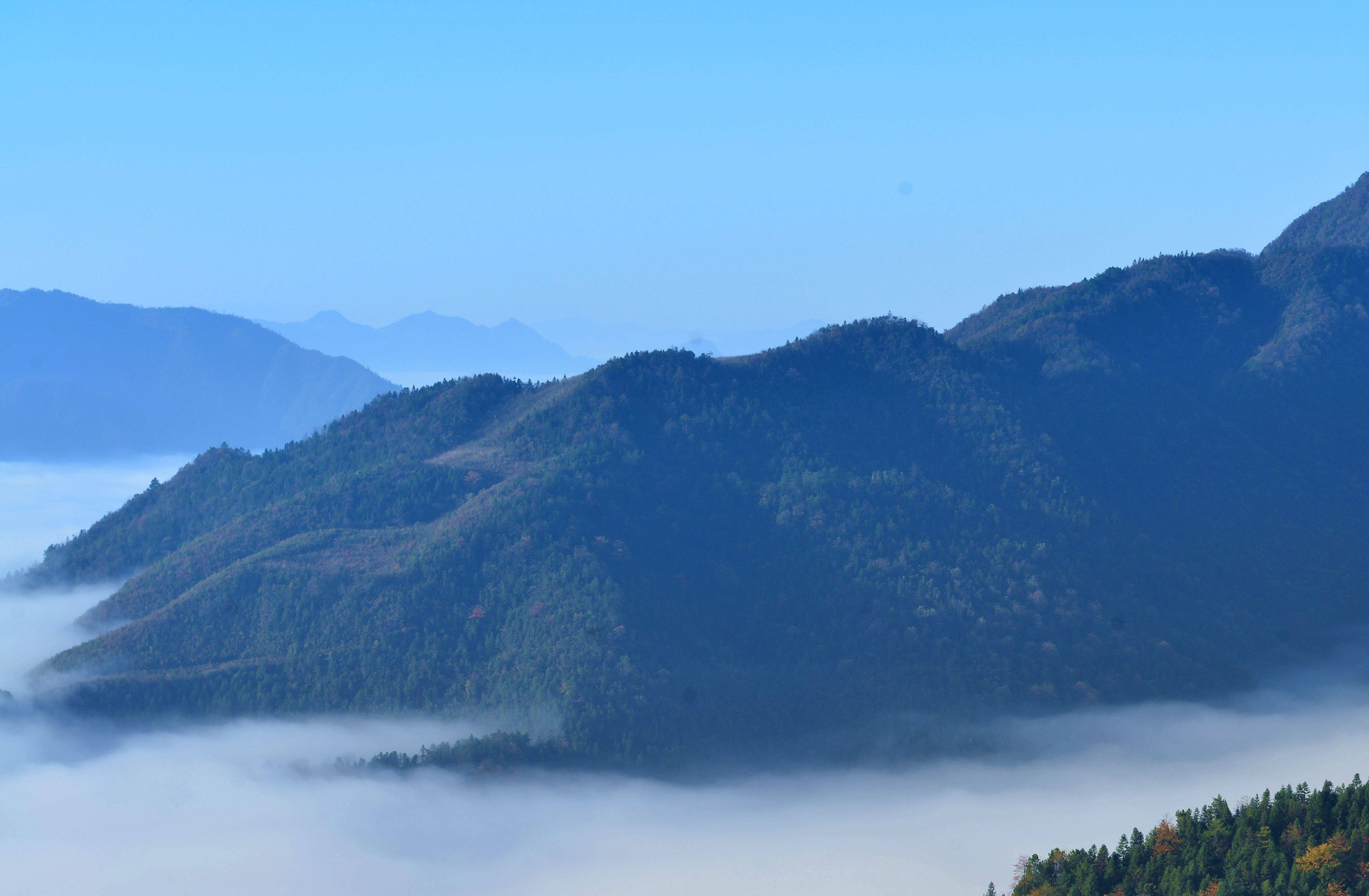 湖南安化云台山风景区,欣赏茶园基地的美景