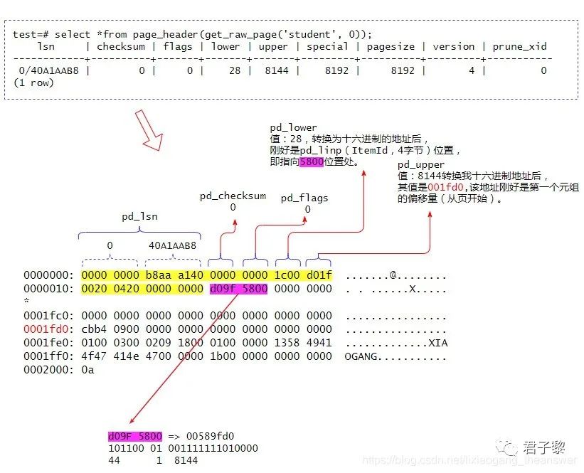 干货 | PostgreSQL数据表文件底层结构布局分析_pgsql unsigned-CSDN博客