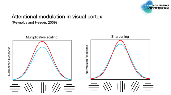 北大心理与认知学院院长方方：人类注意力图和动态机制