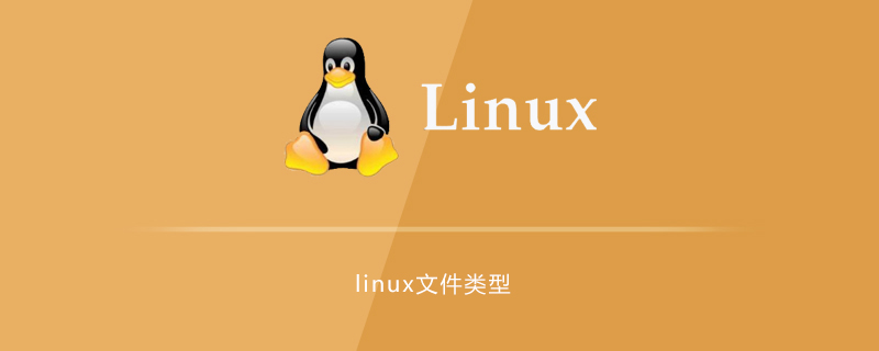 linux文件的链接可分为6,linux中有几种文件类型_网站服务器运行维护,linux,文件类型...