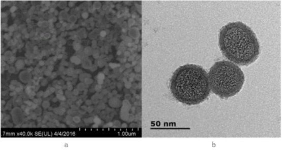 Tio2 介孔 介孔二氧化钛(MYN-COOH)100nm孔径3nm|TiO2二氧化钛纳米小球_ptmyn-CSDN博客