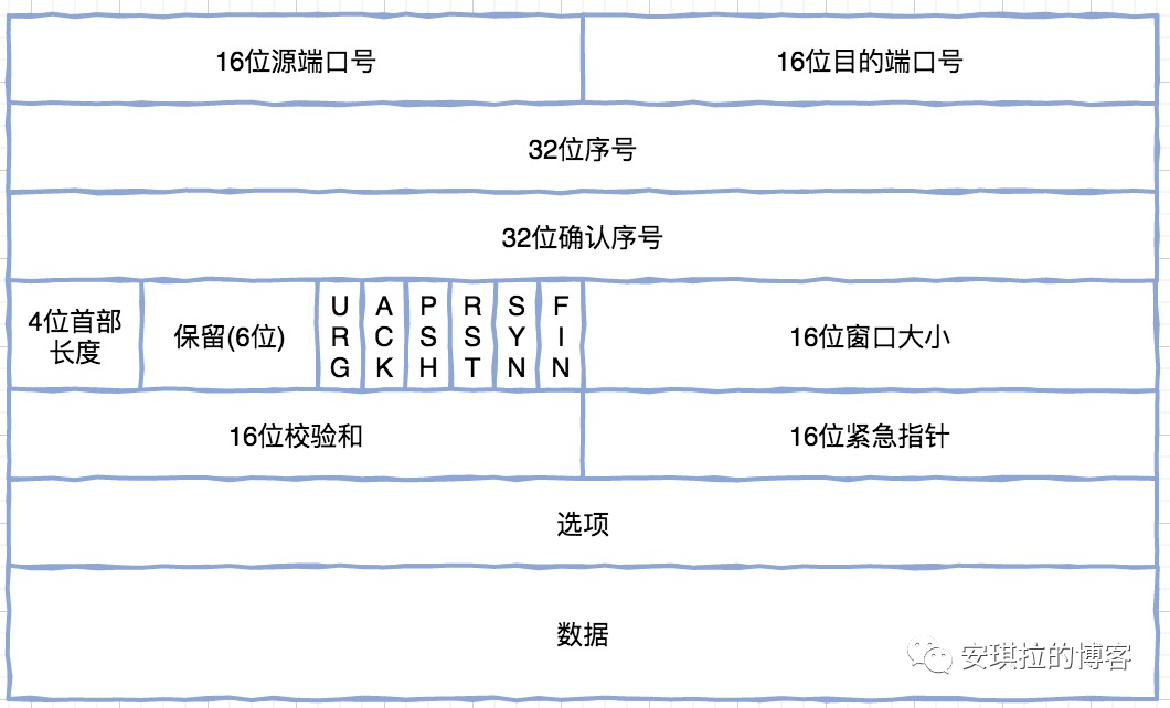 TCP报文格式