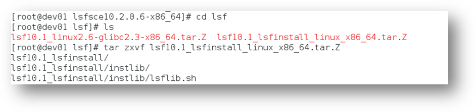 lsf_10.1 安装教程_lsf 10.1-CSDN博客