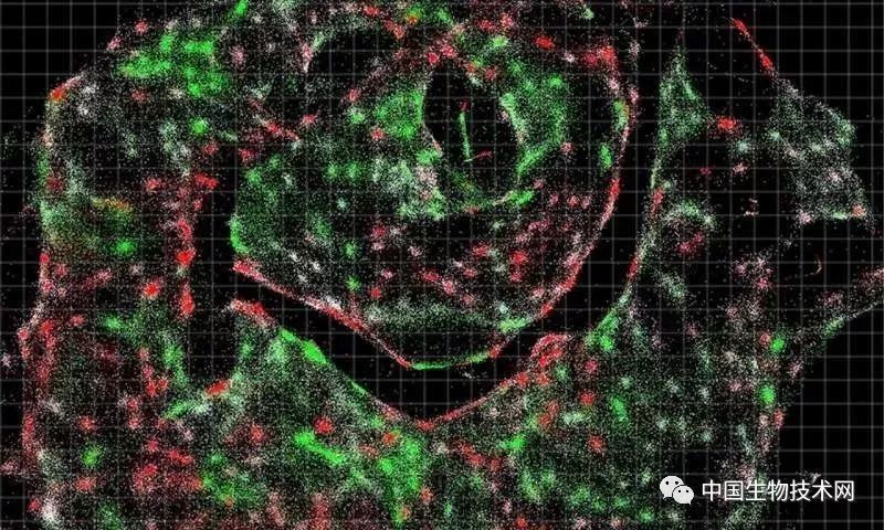 Cell：重大突破！三位学术大咖，打造全新“DNA显微镜” 配图06