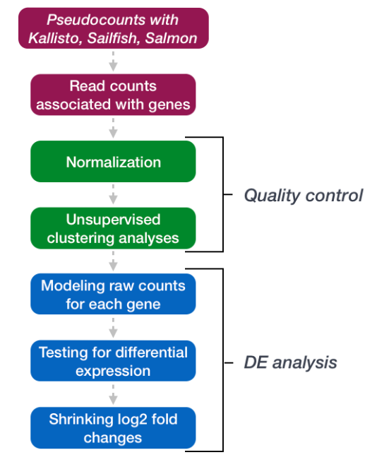 RNA-seq 详细教程：count 数据探索（4）