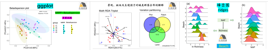 R语言生物群落（生态）数据统计分析与绘图