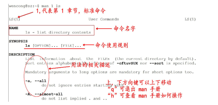 Linux常用命令_当前目录_03