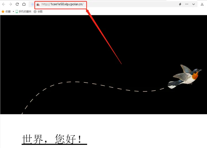 【服务器】零成本搭建网站并内网穿透实现公网访问